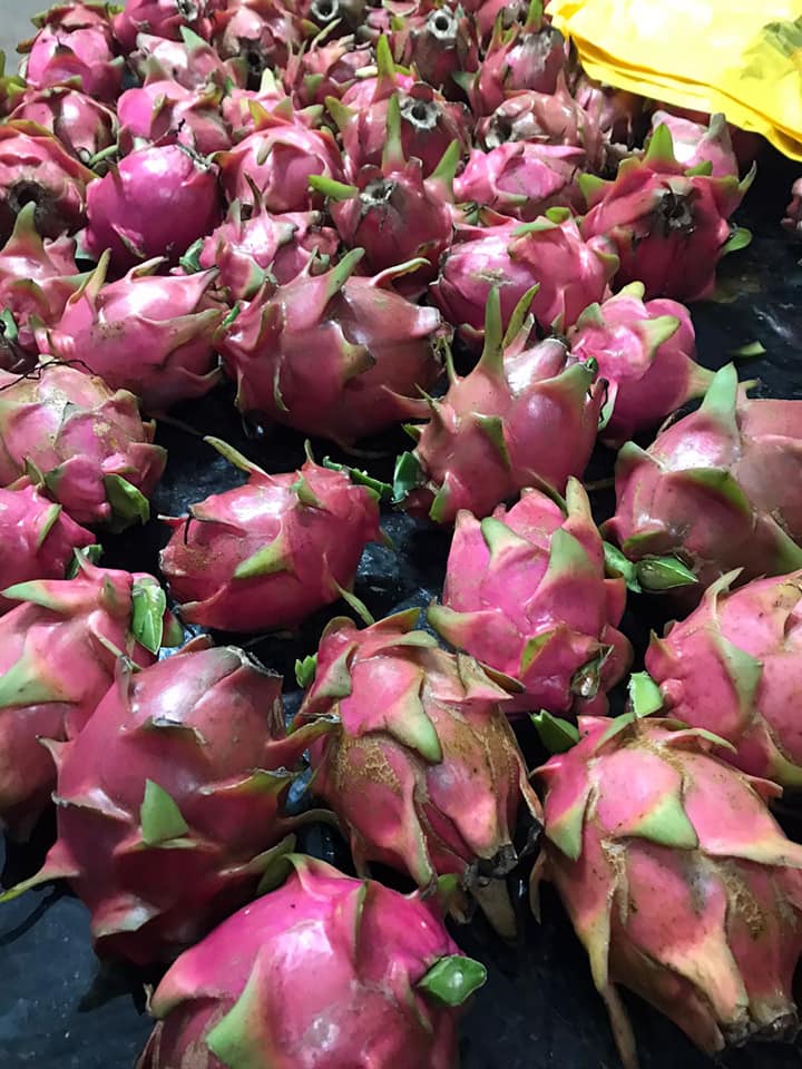 280320021_734822264319822_5291713058141119752_n