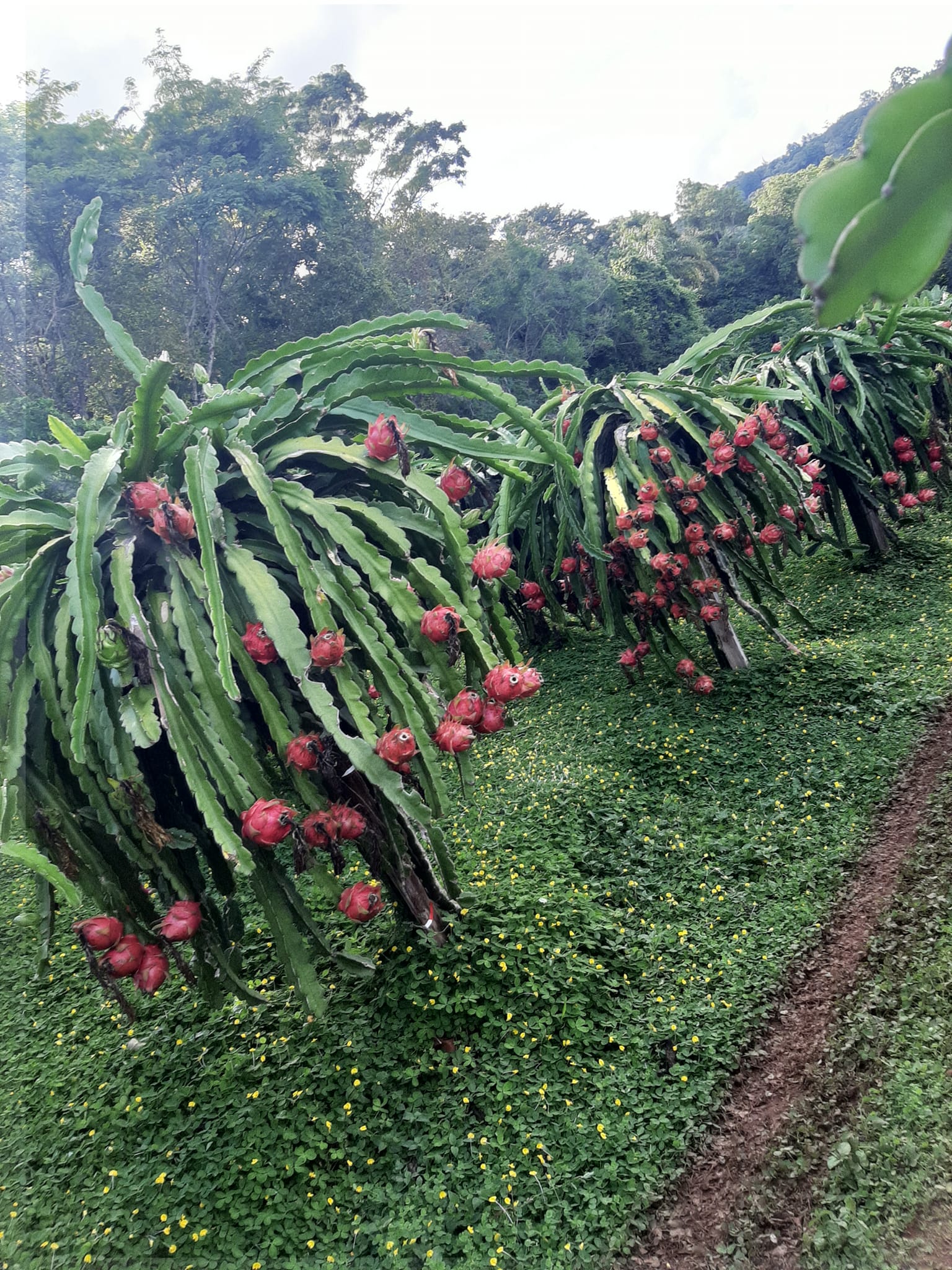 331294027_688203893043770_3778848954354172459_n